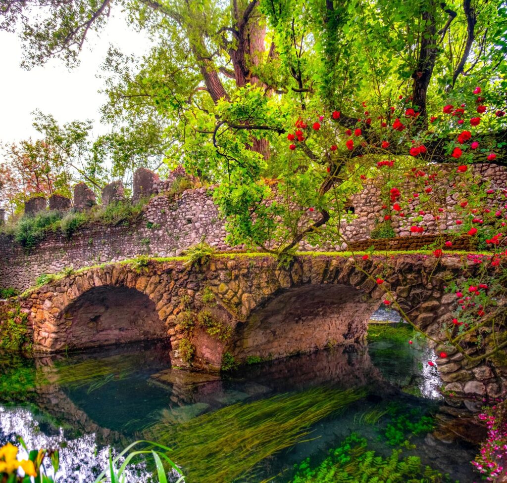 picture of a nature