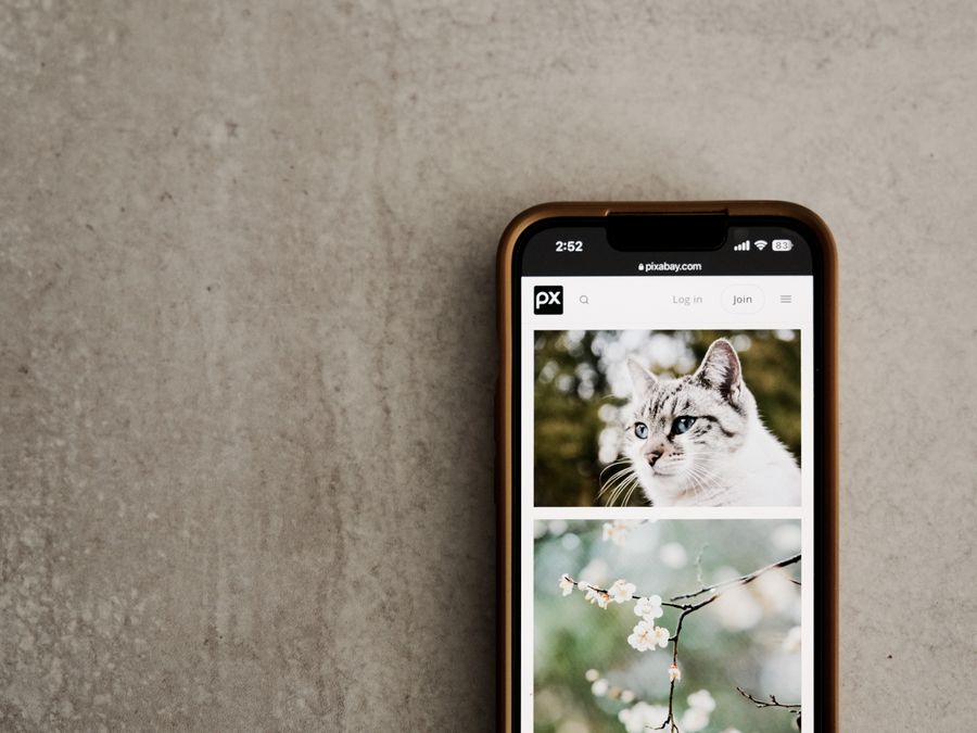 Mobile phone on a gray surface showing cat and flower images on screen.