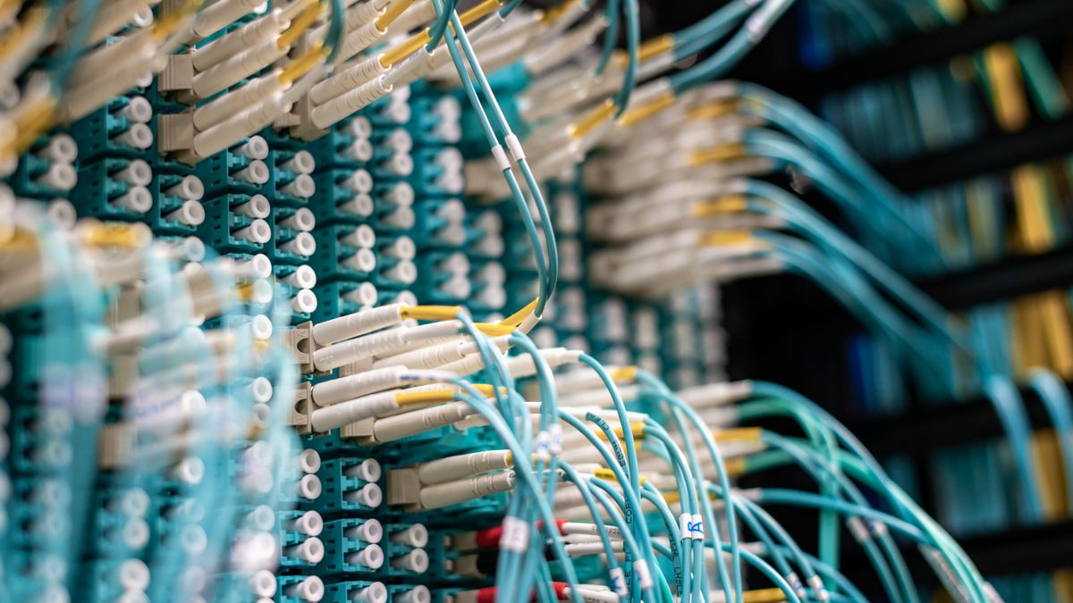 From below of long thin blue cables connected to row of small white connectors on system block in data center