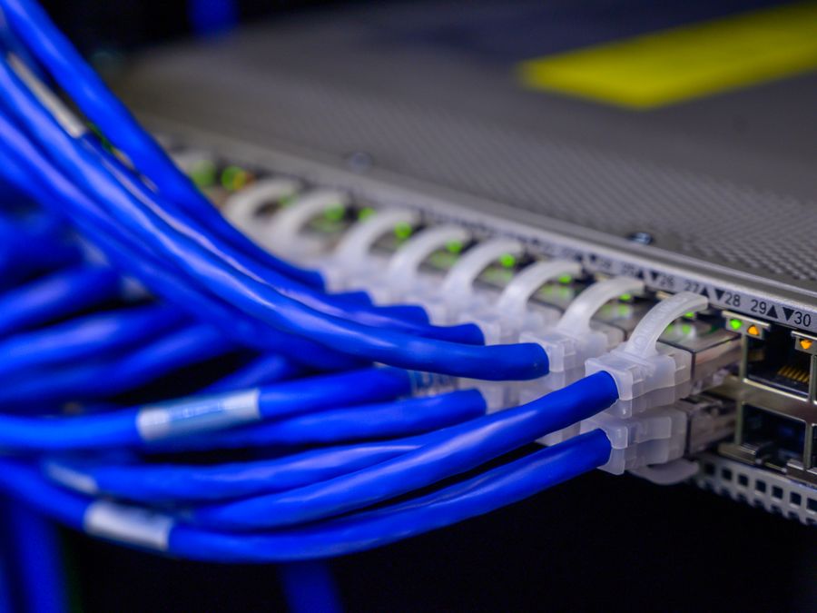 Detailed view of blue ethernet cables connected to a network switch in a data center.